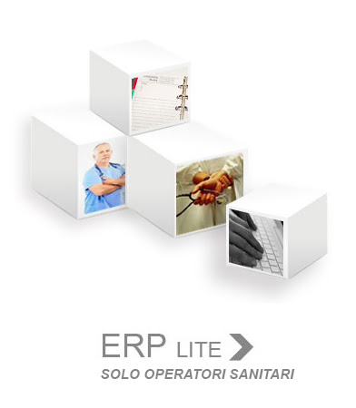 erp_lite